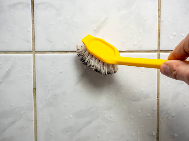 Best Mold Removal Specialists  in Johnston City, IL