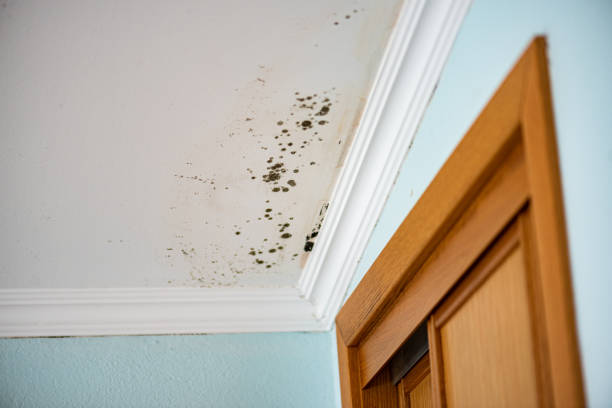 Water Damage Restoration in Johnston City, IL