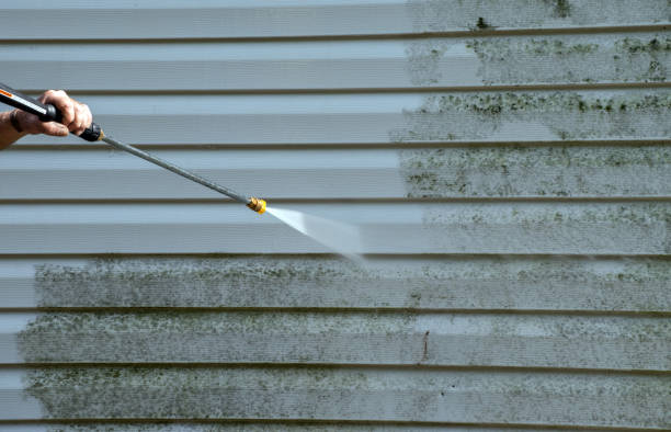 Home Mold Removal in Johnston City, IL